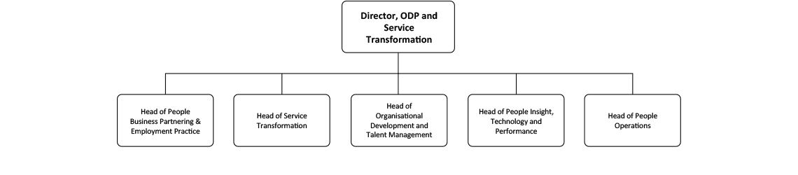 ODP & Service Design structure